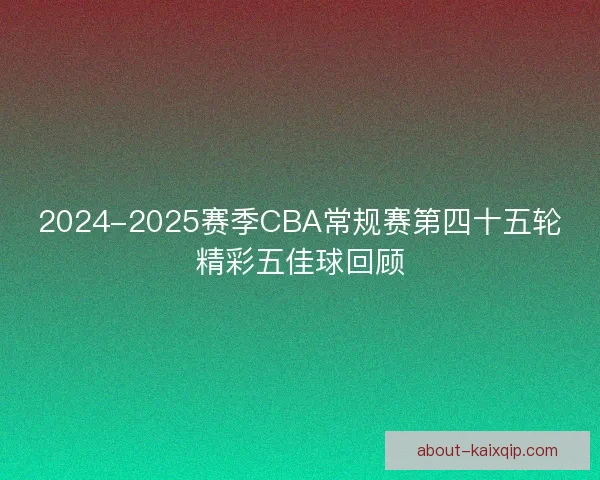 2024-2025赛季CBA常规赛第四十五轮精彩五佳球回顾