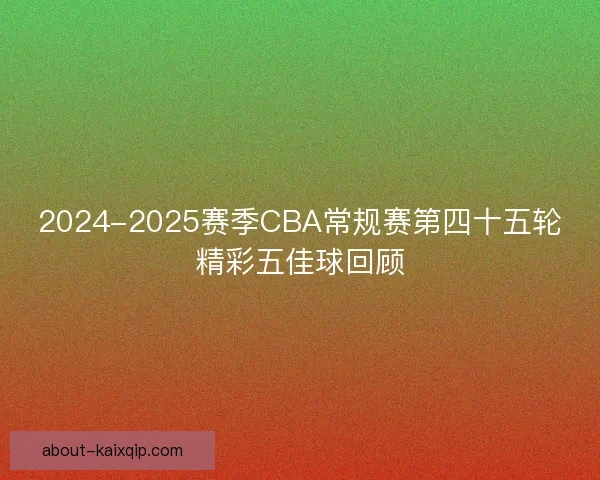 2024-2025赛季CBA常规赛第四十五轮精彩五佳球回顾